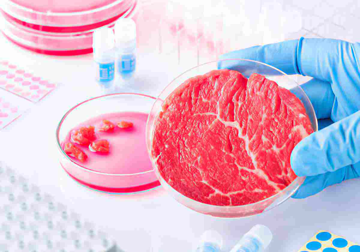 Cultured Meat Symposium Pioneering Sustainable Solutions for a